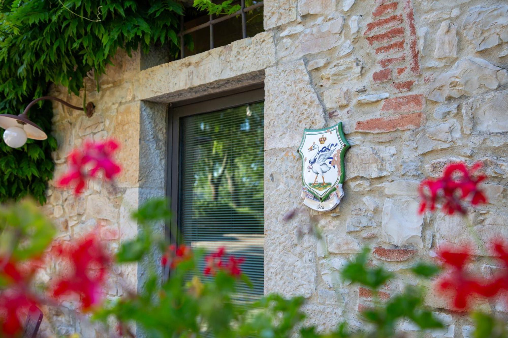 Appartement Colombaio Di Cencio à Gaiole in Chianti Extérieur photo