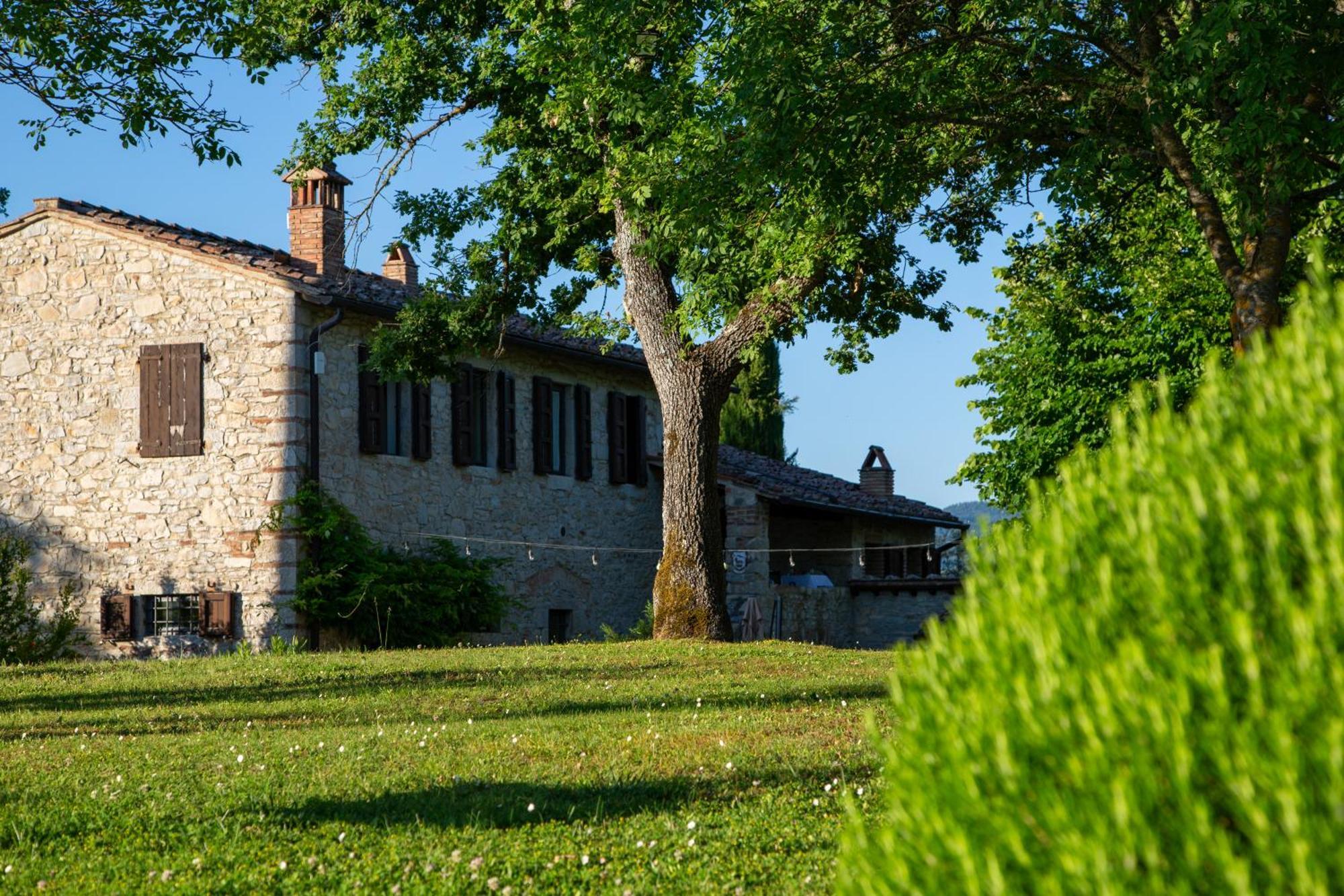Appartement Colombaio Di Cencio à Gaiole in Chianti Extérieur photo
