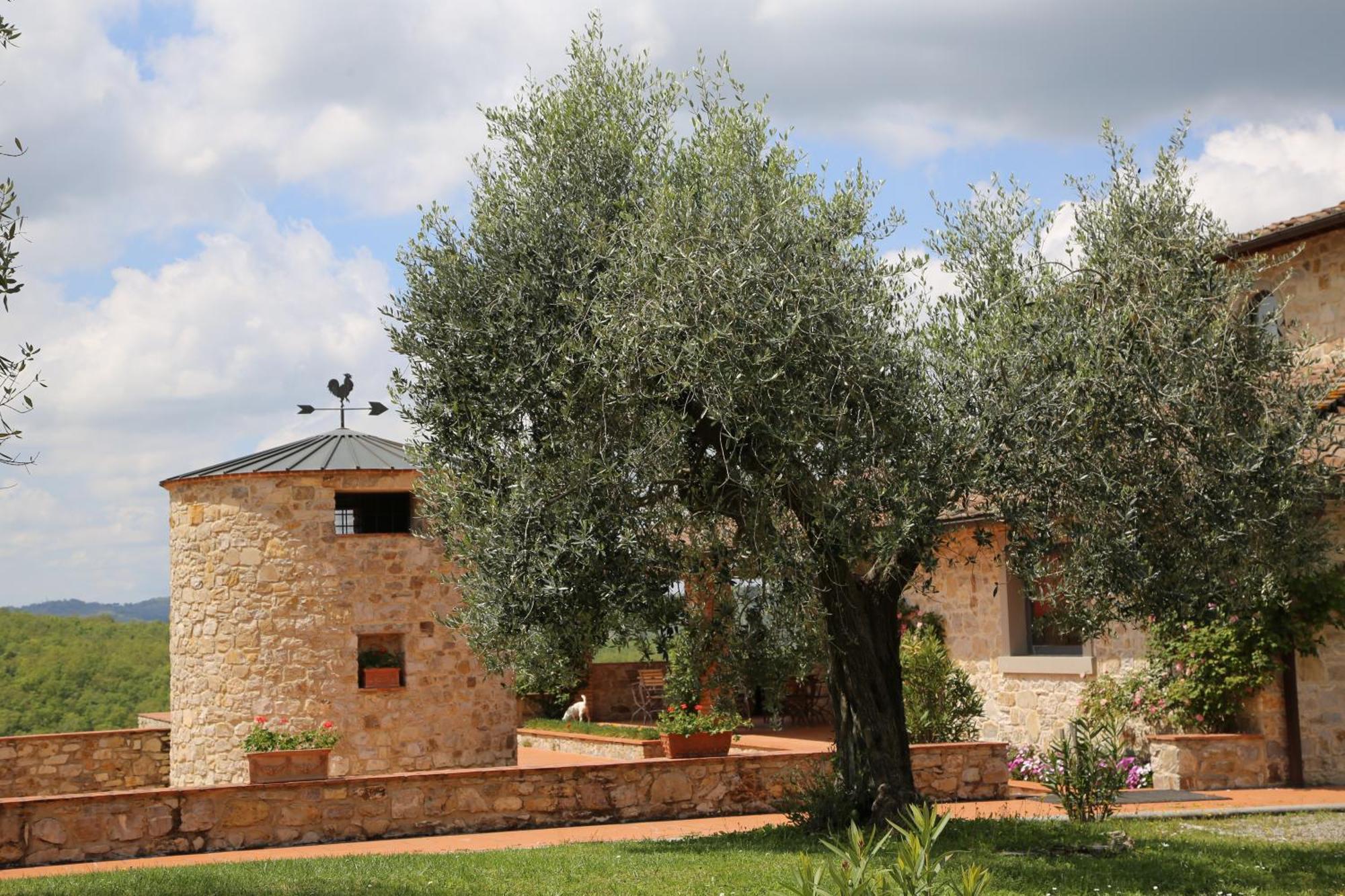 Appartement Colombaio Di Cencio à Gaiole in Chianti Extérieur photo